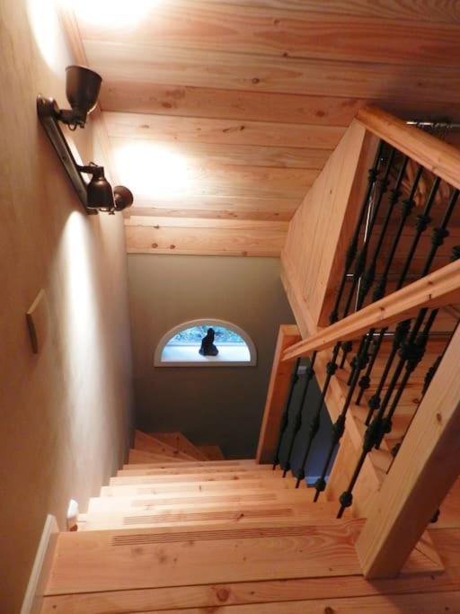 Villa Tiny House Tholen Exterior foto