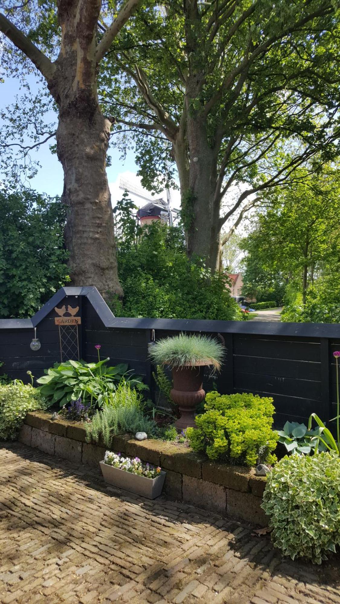 Villa Tiny House Tholen Exterior foto